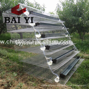 Quail layer cages automatic/h type automatic quail cage/quail cage automatic